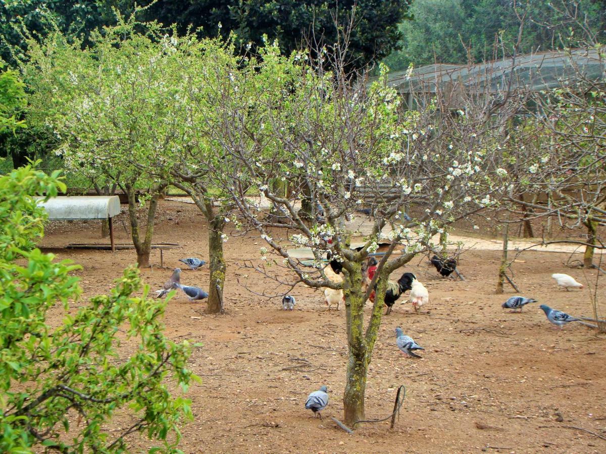 ホテル Quinta Da Norinha ポルティマン エクステリア 写真